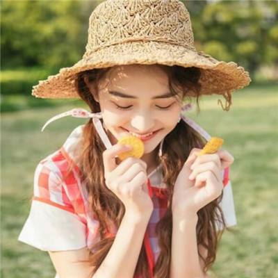 王者精灵传满v版公益服下载